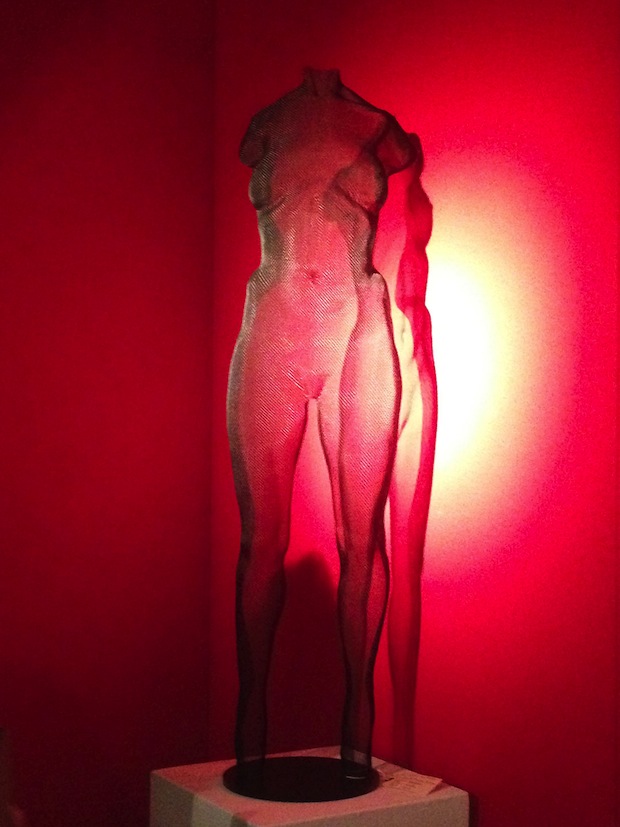 nude erotique artwork, transparent wire-mesh 