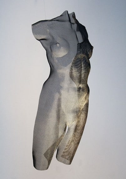 a mesh figurine of a female body semi-transparent black