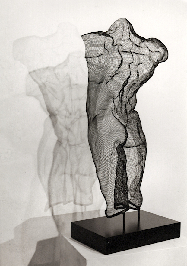 Wire-mesh-sculpture of a musculare male back torso