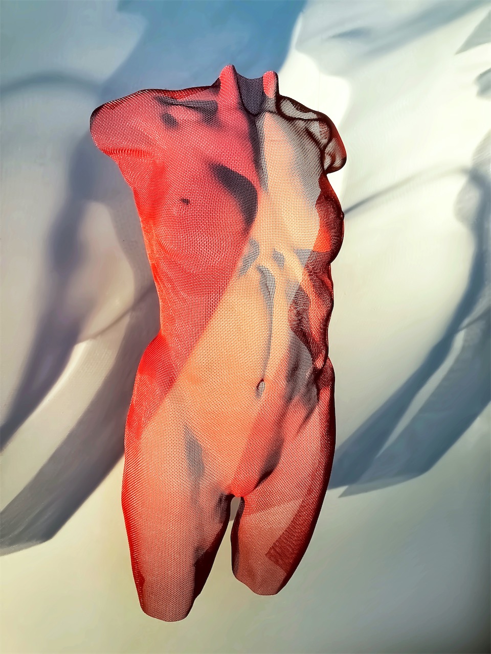 A red torso made from wired mesh