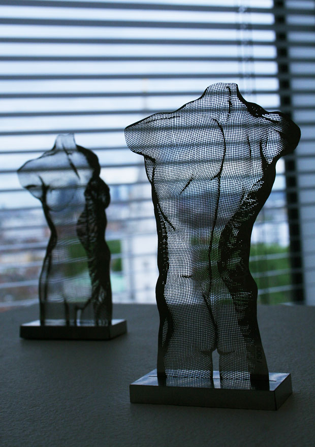 xx David Begbie  Steel Panel sculpture nude female male torso half transparent miniature web